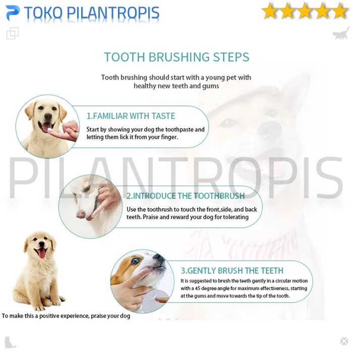 SIKAT GIGI KUCING DAN ODOL KUCING ANJING PASTA GIGI KUCING ANJING 1 SET PET TOOTHBRUSH DENTAL GEL