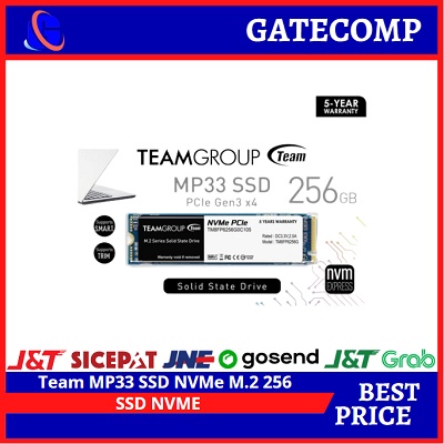 Team MP33 SSD NVMe  M.2 256 GB - NVMe 256GB