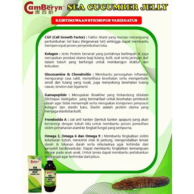 SEA CUCUMBER JELLY MULTIVITAMIN 350ML