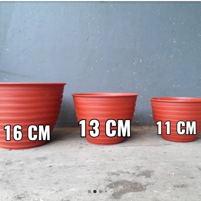 pot tawon coklat, tawon 30 coklat, tawon 24 coklat, tawon 21 coklat