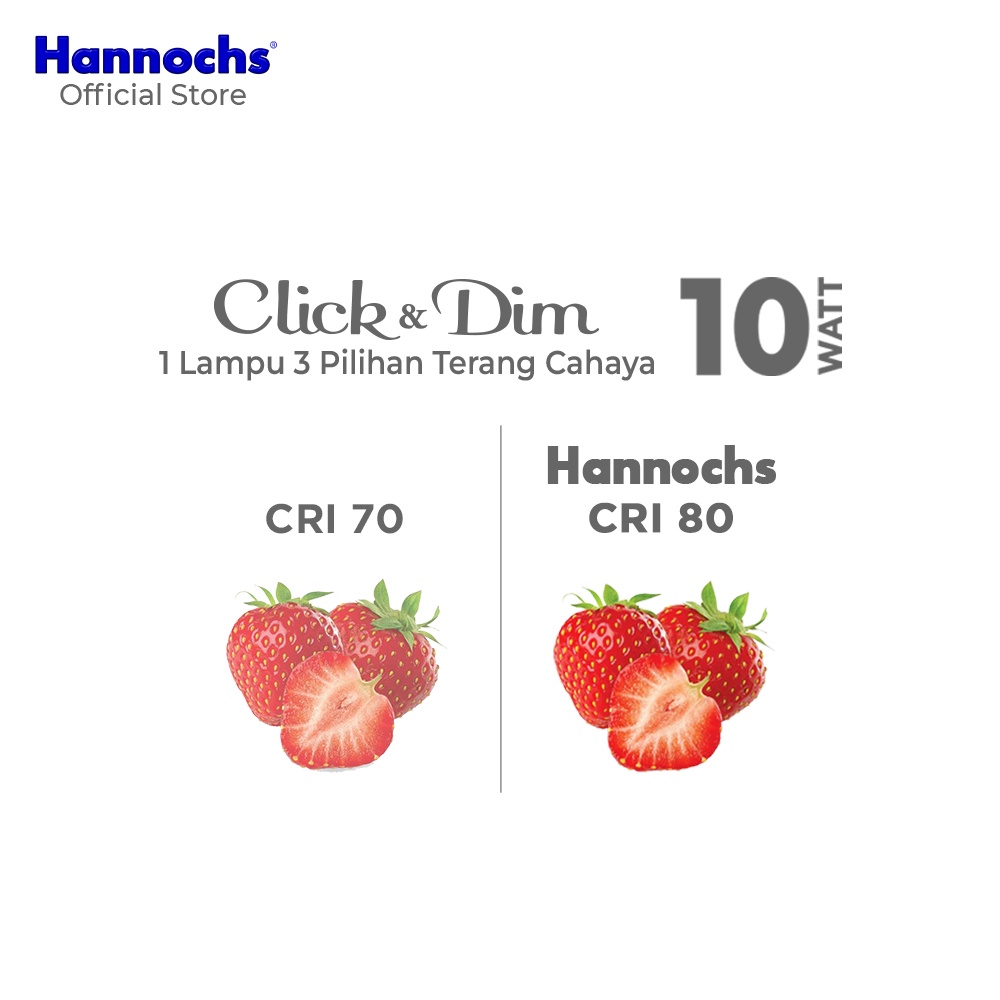 Hannochs Click &amp; Dim Bohlam Lampu LED 3 Tingkat Kecerahan 10 Watt Cool Daylight Putih