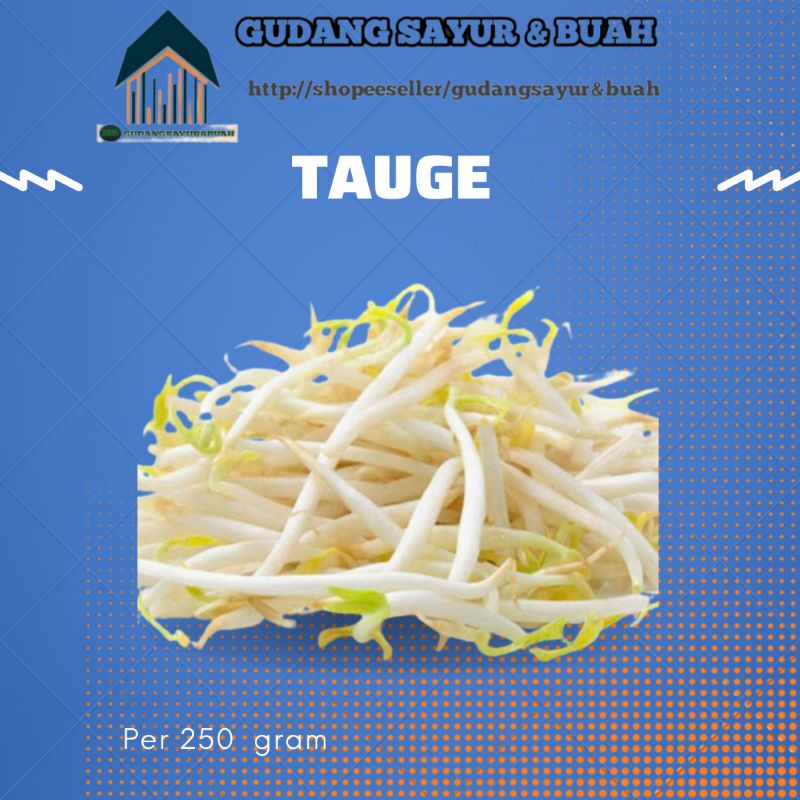 

Tauge Sayur Fresh 250 gr