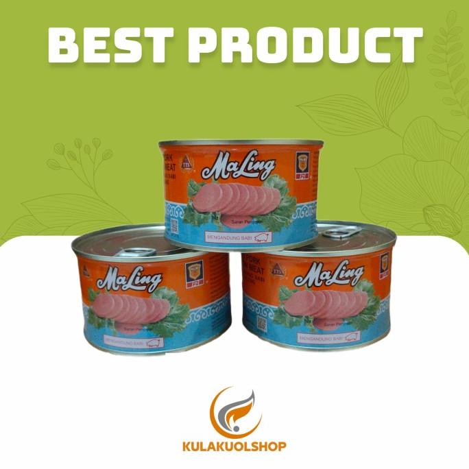

maling tts /Canned Pork Luncheon Meat 397gr TERLARIS