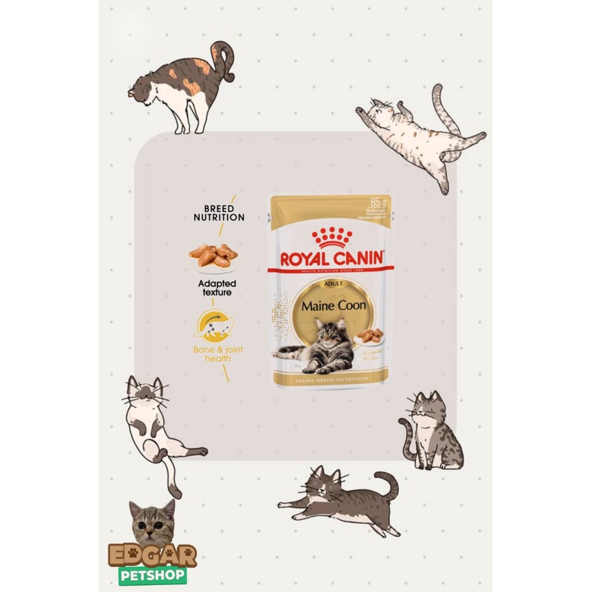Royal Canin Mainecoon pouch 85gr makanan basah kucing