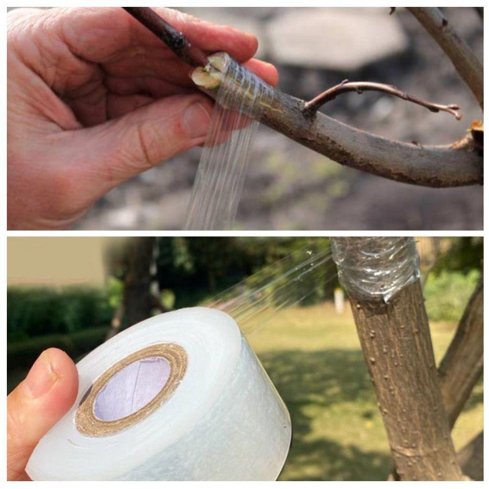 [Elegan] Grafting Tape Self-adhesive PVC Yard Stretchable Fruit Tree Pohon Tanaman Alat Berkebun