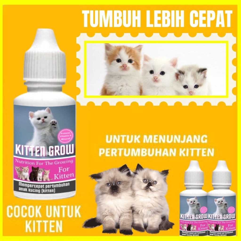 Kitten Grow Obat Vitamin Anak Kucing Nutrisi Pertumbuhan Kitten Cat Kucing FEZONE