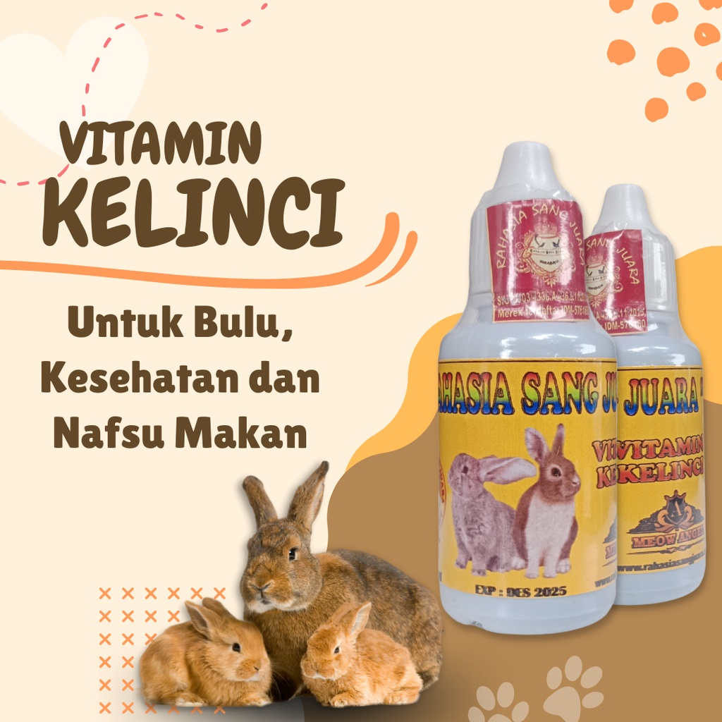 VITAMIN KELINCI UNTUK BULU, KESEHATAN, DAN NAFSU MAKAN