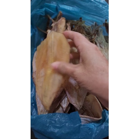 

ikan Juhi juhe jiuhi cumi belah sotong belah 100gr kering dari tanjung pinang