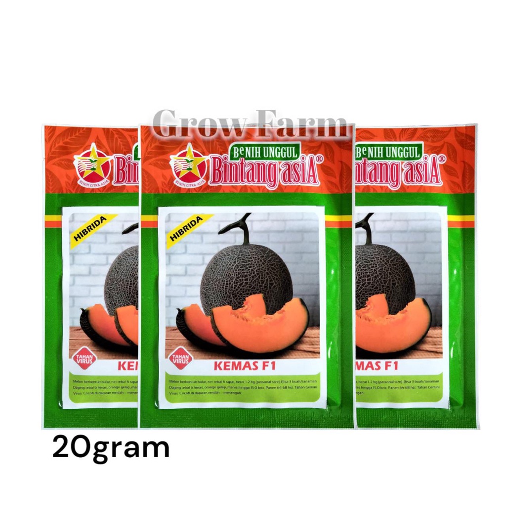Benih Bibit Melon KEMAS F1 20 gram Tahan Virus Gemini Rock Melon Daging Orange Unggul Bintang Asia