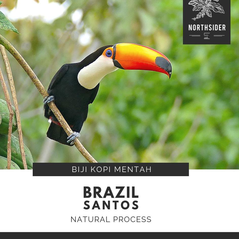 

✮ BIJI KOPI ARABIKA BRAZIL SANTOS SC 17/18 NATURAL - BIJI KOPI MENTAH ☪