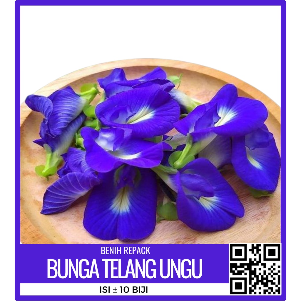 BENIH BIBIT BUNGA TELANG UNGU TANAMAN TELANG NON TUMPUK ISI 10 BIJI RP