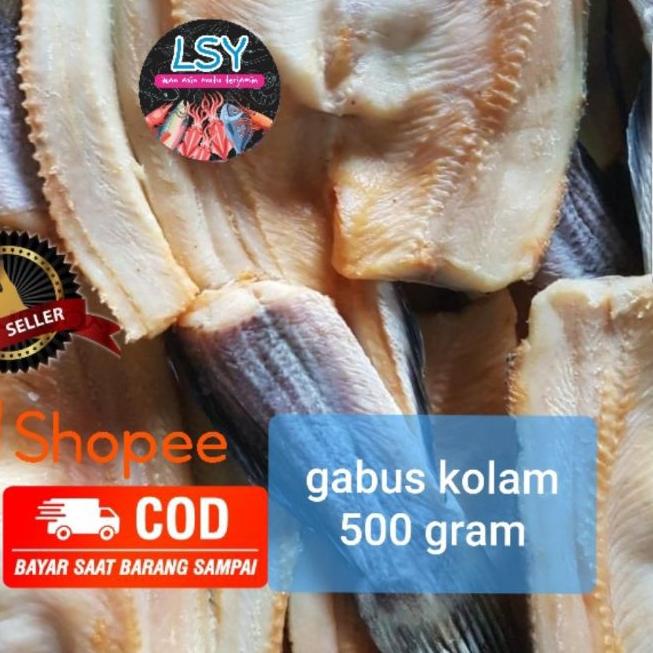 

★ ikan asin gabus kolam size besar 500gr ✥