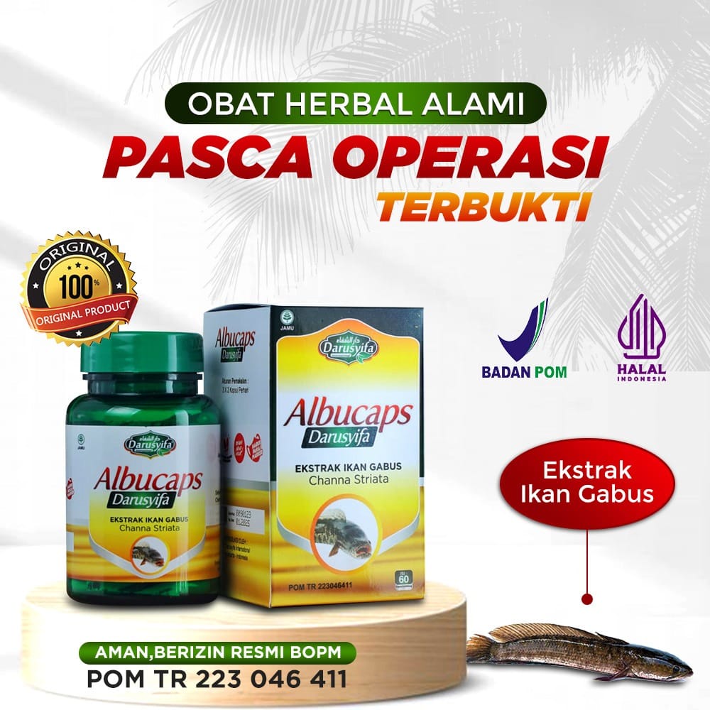 Kapsul Albucaps Original BPOM Obat Herbal Alami Penghilang Bekas Luka Kapsul Ikan Gabus Penyembuh Luka Pasca Operasi Pengering Luka Bekas Jahitan Luka Bakar Kapsul Herbal Alami Ekstrak Ikan Gabus ( Beli 2 Gratis 1Box Susu Kambing Lazismu )