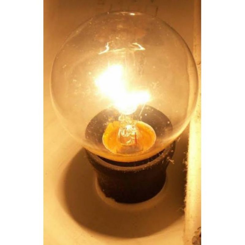 Lampu pijar Hemat 5W PS47 JUMBO lampu penghangat budidaya telur ayam bohlam dop kuning hangat 5 watt Lampu Murah Hemat 5watt