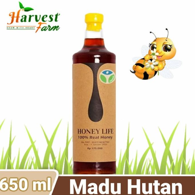 

Madu Honey Life / Raw Wild Forest Honey / Madu Hutan Murni - 650 ml