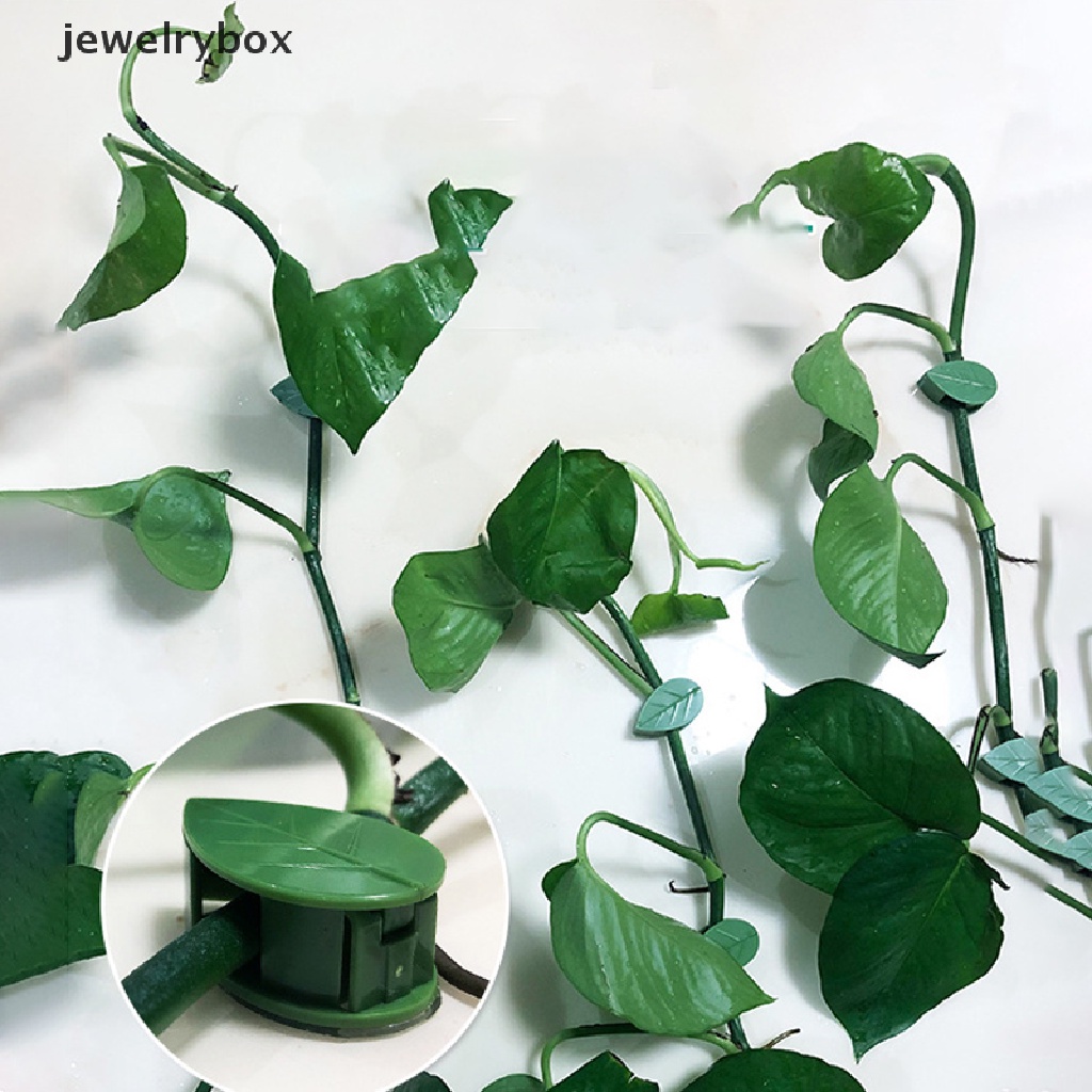 [jewelrybox] 10pc Klip Penguat Artefak Panjat Tanaman Bentuk Daun Perekat Diri Kait Tak Terlihat Butik