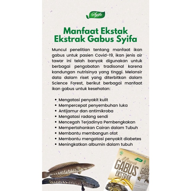 Kapsul Ekstrak Sari Ikan Kutuk Gabus Albumin Untuk Obat Penyembuh Pengering Luka Bakar Diabetes Jahitan Sunat Pasca Melahirkan Operasi Cesar Caesar