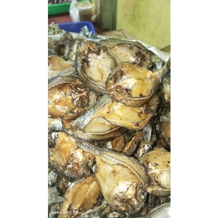 

ikan bilih padang belah, ikan bilih padang, model terbaru kualitas super