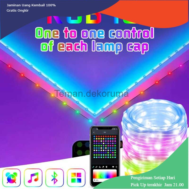 TD - LMP FLOVE Lampu Hias String Lights RGB Smart Bluetooth with Remote Control - FL22