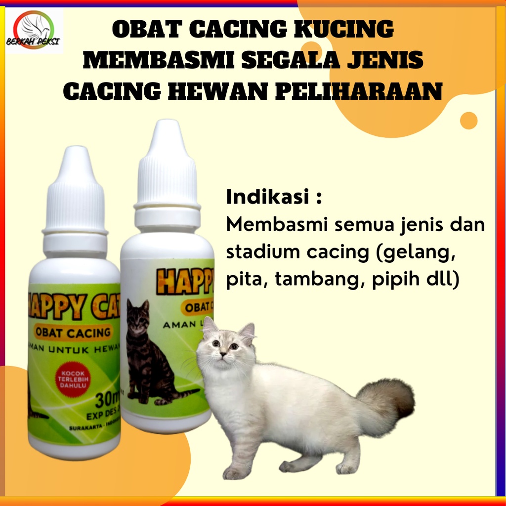 AMPUH OBAT CACING TETES KUCING OBAT CACING CAIR KUCING OBAT CAIR KUCING MANJUR