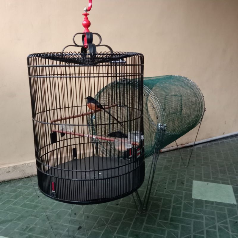 Kandang Umbaran Murai Bulat Sledding