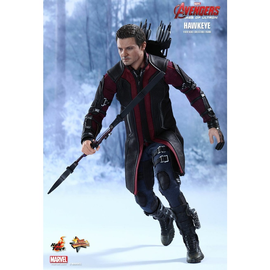 Hot Toys 1/6th Scale  Avengers Age Of Ultron Hawkeye MISB