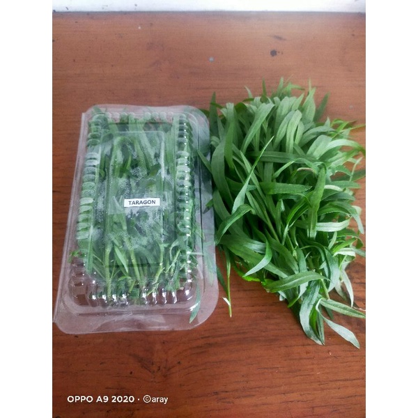 

sayuran organik taragon 50gr