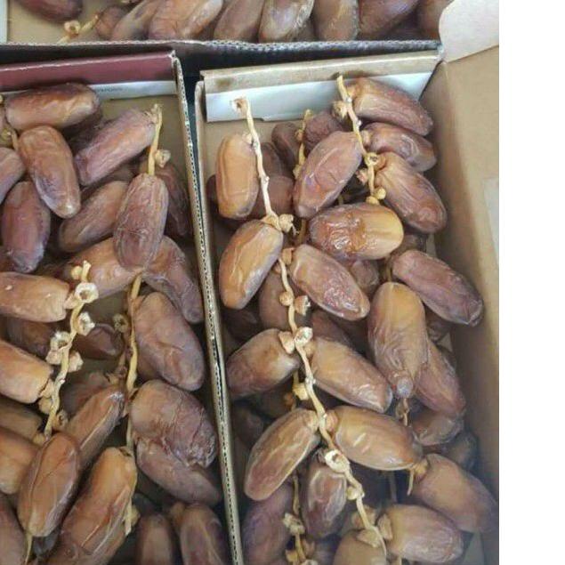 

☟ kurma palm fruit tunisia 500gr ▼
