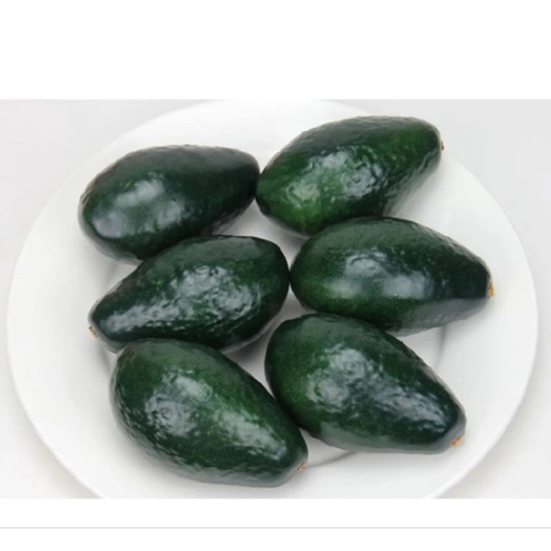 buah alpukat hias buah alpuket pajangan jus buah avocado buah tiruan replika buah artifisial hiasan 
