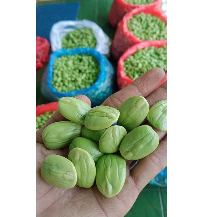 

➻ PETE KUPASAN 1kg ♂