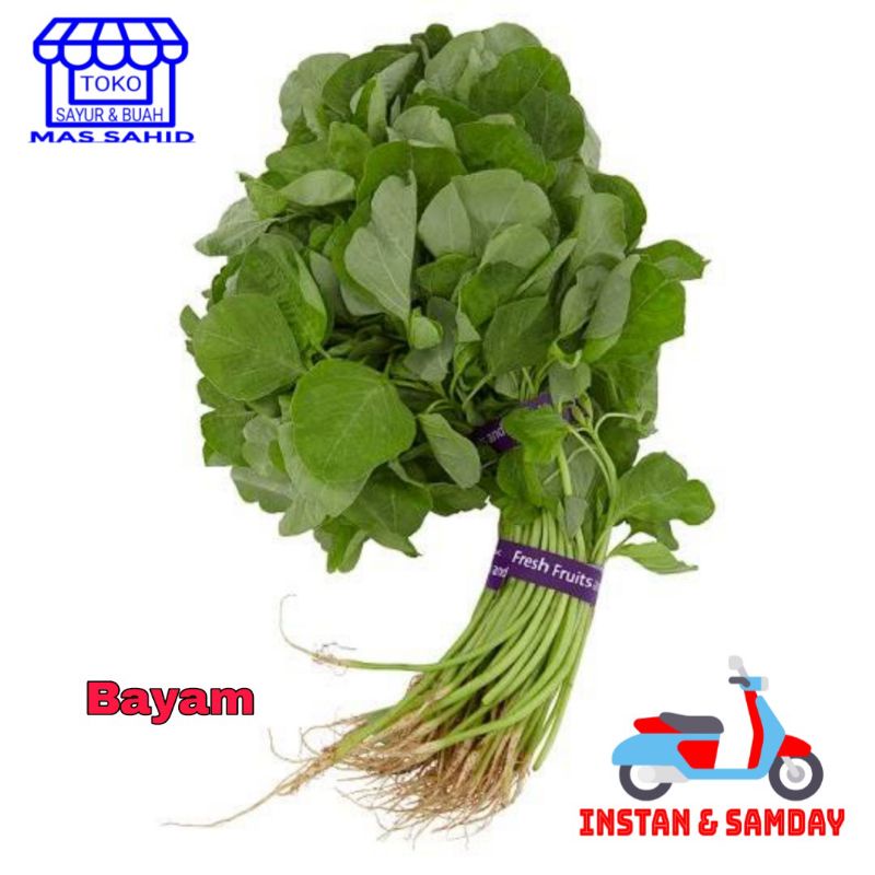

Sayur Bayam Daun Bayem Segar KIRIM INSTAN & SAMDAY