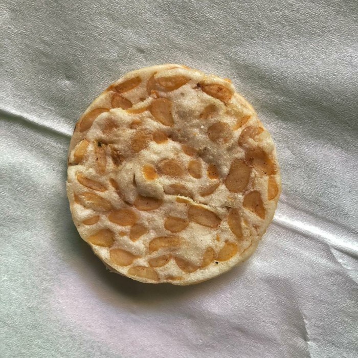 

Terlaris ✨ -Keripik Tempe Sagu Original Gurih Asin Snack NyokotChips 500gr2.2.23