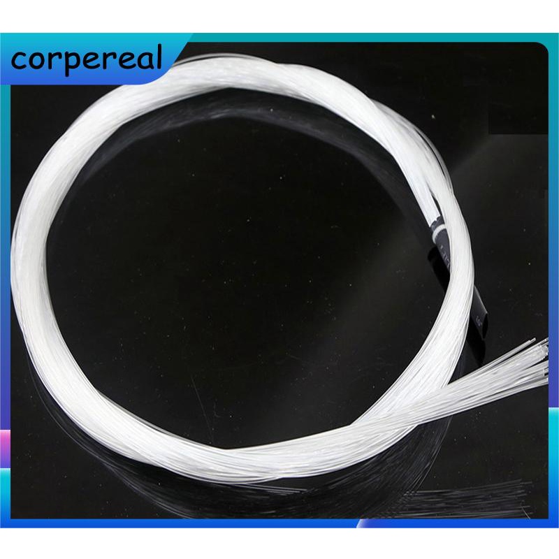 Serat optik lampu ekor 0.75mm 250 pcs untuk sauna, bar, restoran, langit-langit rumah dalam ruangan 