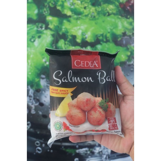 

Salmon Ball