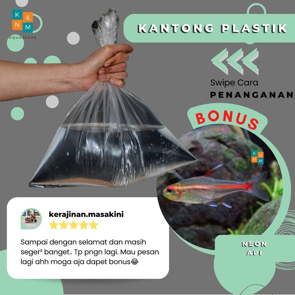 Kantong Plastik Free Neon Api Ornamen Aquarium Aquascape Akuarium