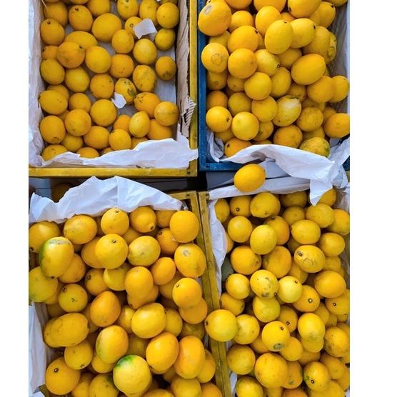 

Terlaku.../ Lemon California lokal 1 kg