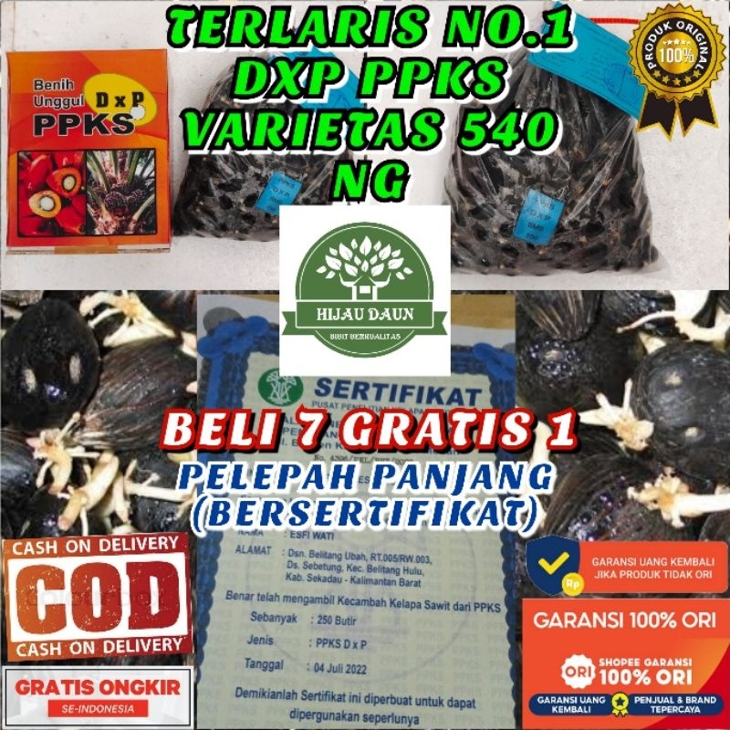 DXP PPKS VARIETAS 540 NG PELEPAH PANJANG ASLI UNGGUL (BERSERTIFIKAT)