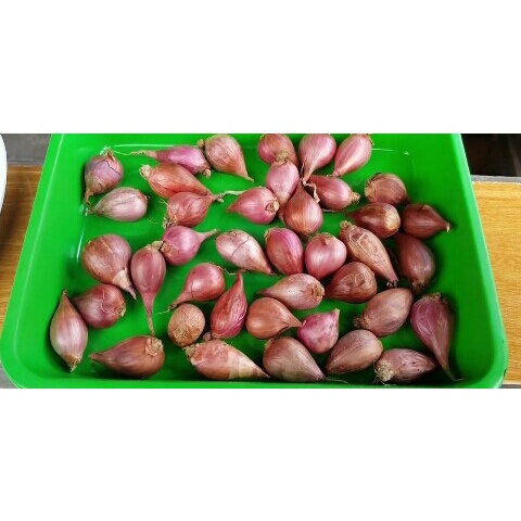 

bawang merah 200gram afshop