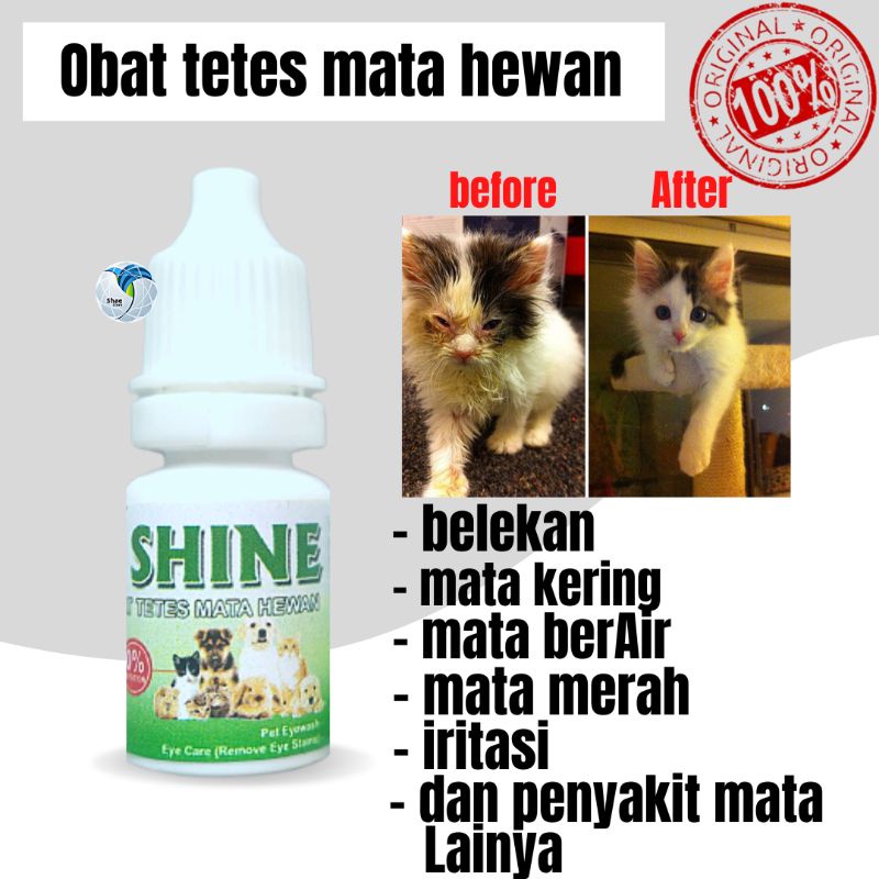 Obat Tetes Mata Kucing Belekan BerAir Bengkak Berselaput Ampu Shaestore15