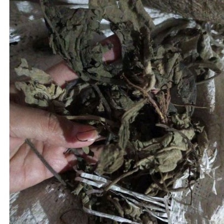 

daun sembung kering 1kg