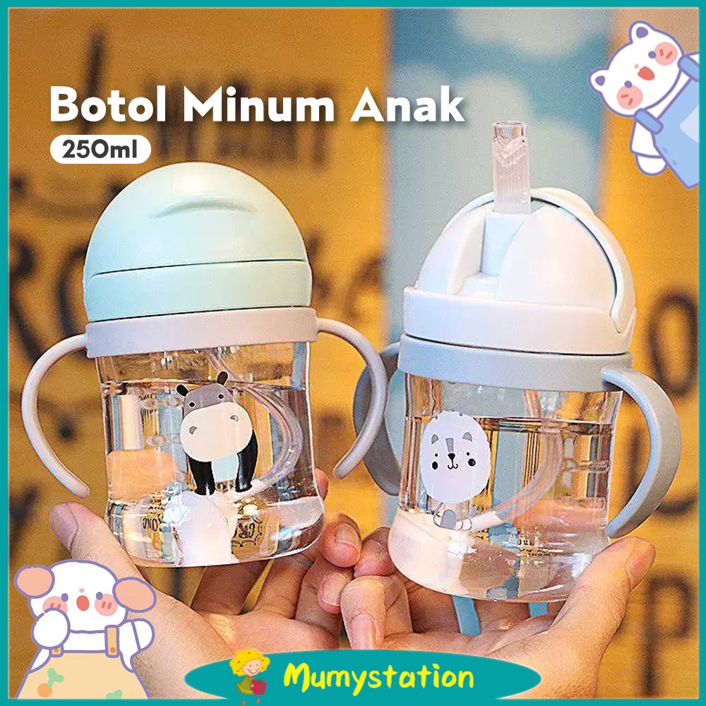 Mumystation Botol Minum Bayi Gelas Anak Balita Training Cup Baby Karakter Lucu 250Ml