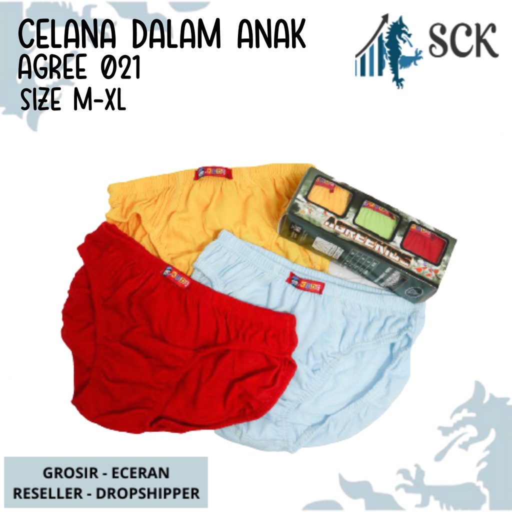 [ISI 3] CD Anak AGREE 021 Aneka Warna / Pakaian Dalam Anak AGREE Kids / AK 21 - sckmenwear GROSIR