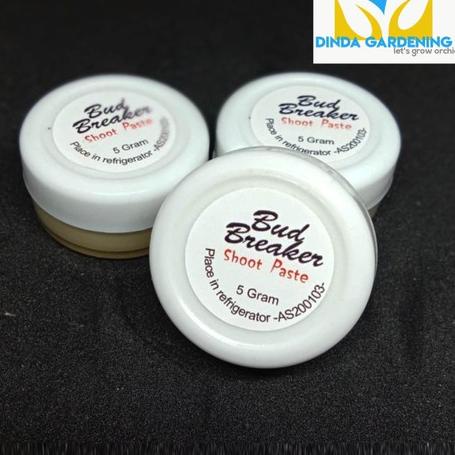 ✷ Bud Breaker penumbuh tunas anggrek 5gram ✩