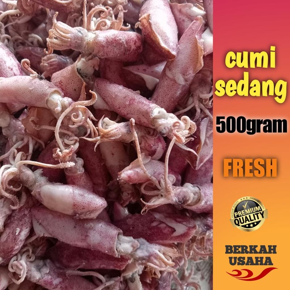 

☄ IKAN ASIN CUMI ASIN REBUS FRESH size 4-6cm 500gram ➭