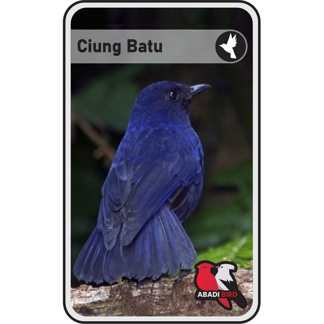 Ciung Batu Siul Tangerang