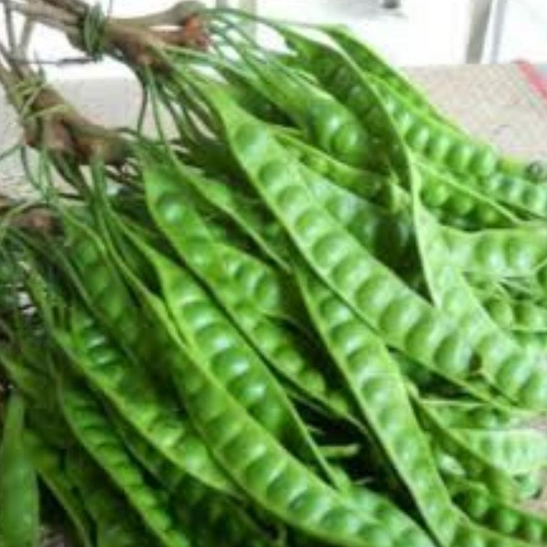 

Z89 pete paket 10 papan READY STOCK ♬