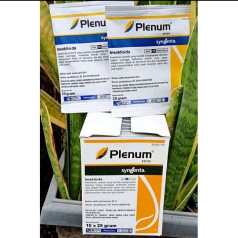 plenum 25 gram