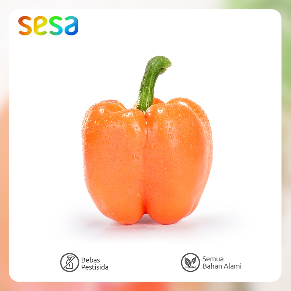 

PAPRIKA Orange Natural 150 - 200gr - Sayuran Sehat Segar