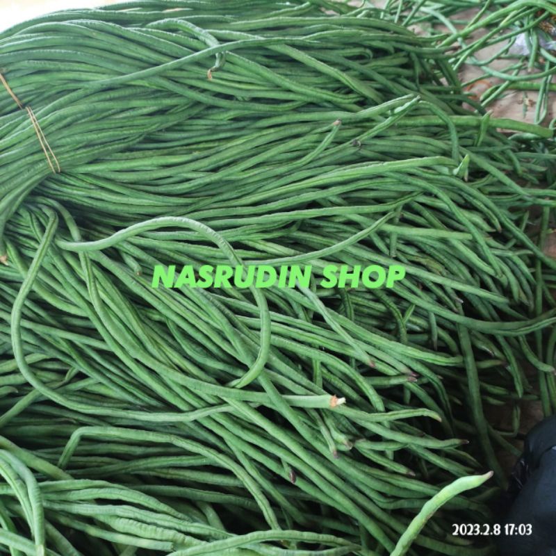 

KACANG PANJANG 1KG KACANG SAYUR LANGSUNG PETIK / KACANG TUNGGAK
