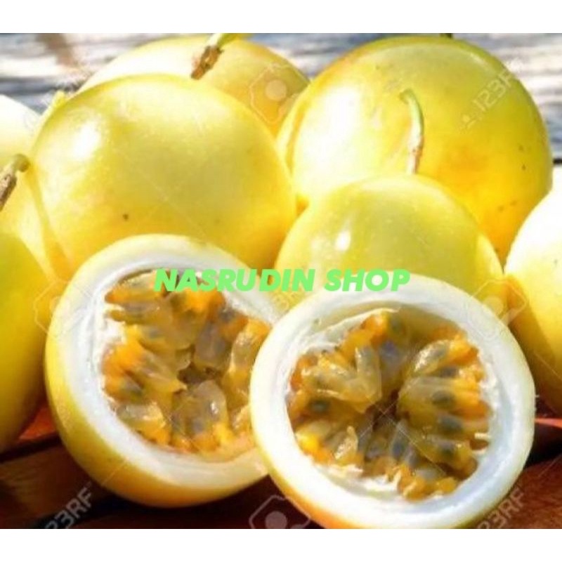 

BUAH MARKISA 1KG PROMO (markisa kuning, markisa hijau dan merah)
